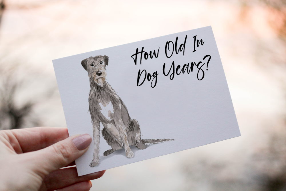 Irish Wolf Hound Dog Birthday Card, Dog Birthday Card